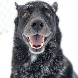 Meet your Posher, Darien